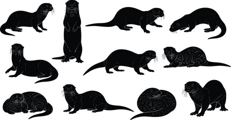 Fototapeta premium Otter silhouette collection, black animal shapes, wildlife poses, standing otter, curled otter, walking otter, sitting otter, nature illustration, vector art