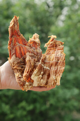 Dried Bamboo Shoots from Huangshan Mountain - Traditional Chinese Sundried Food Ingredient