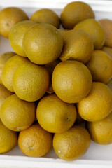 Fresh Yellow Oranges in Container - Citrus Fruit Collection