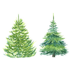 Christmas tree, pine tree, set of watercolor illustrations for design, packaging, postcards, and tableware