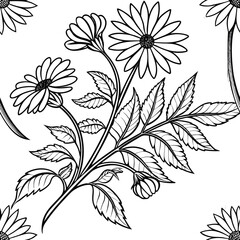 Vector art of seamless pattern with daisy flower