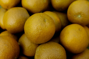 Fresh Yellow Oranges with Textured Peel - Organic Citrus Fruit Collection