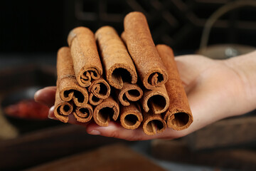 Cinnamon Sticks Natural Spice Seasoning from Guangxi Region Held in Hand