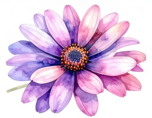 Watercolor painting of a single, vibrant,  pink-purple daisy