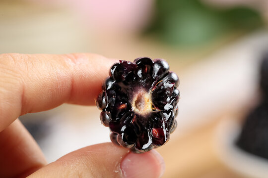 Fresh Black Raspberries Close-up - Premium Imported Berries Held in Hand
