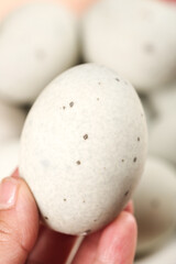Traditional Gaoyou Duck Egg Cuisine Demonstration - Fresh Speckled Egg in Hand