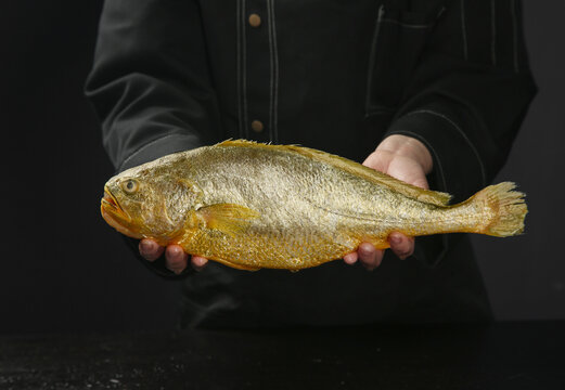 Large Yellow Croaker Fish from Zhoushan Sea - Fresh Seafood Delicacy for Culinary Use