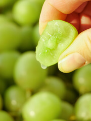 Fresh Green Grape in Hand Showing Sweet Juicy Interior and Natural Fruit Details