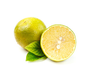 Fresh Guangxi Emperor Citrus Fruits with Leaves on White Background