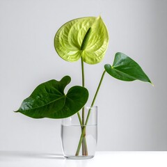 Pale green flower and dark green leaves in a clear glass vase on a white surface against a light gray background