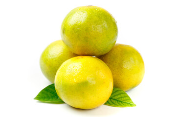 Fresh Yellow-Green Citrus Fruits from Guangxi China on White Background
