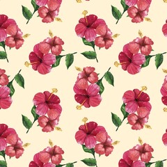 Watercolor Floral Pattern of Pink Hibiscus Flowers