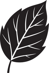 Obraz premium textured leaf Simple black and white silhouette