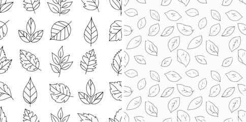 Black and White Leaf Patterns