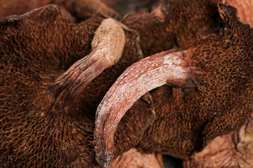 Fresh Porcini Mushrooms - Premium Culinary Ingredients for Gourmet Cooking