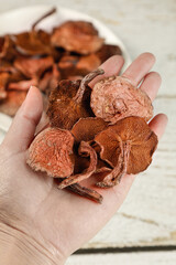 Dried Red Porcini Mushrooms in Hand - Premium Cooking Ingredients from Yunnan