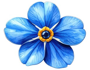 Detailed illustration of a vibrant blue forget-me-not flower