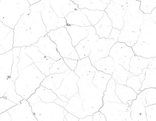 Cracked white surface texture.  Intricate network of fissures and lines