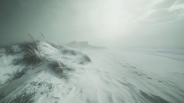Ethereal coastal landscape obscured by mist, featuring windswept dunes and grasses - Powered by Adobe