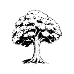 Tree silhouette illustration, oak forest vector, nature landscape graphic, big green plant design, summer park botanical drawing art
