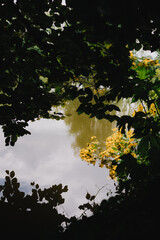 Fototapete bei efototapeten.de bestellen   