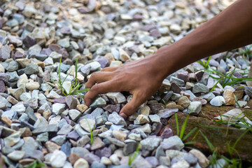 Hand reaching into a pile of gravel with small green sprouts