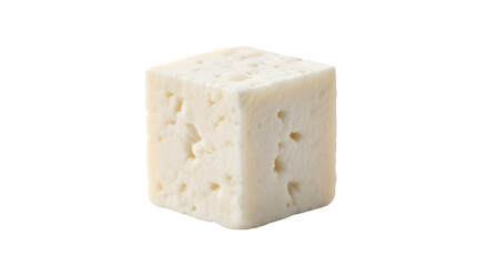 piece of cheese