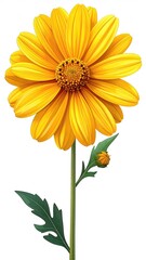 Bright yellow flower with green stem and leaves