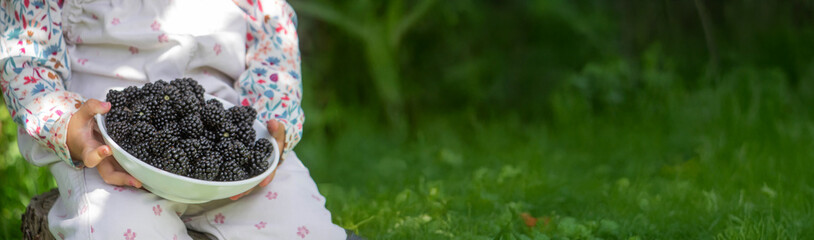 Little girl eating blackberries in the garden. A real taste of summer