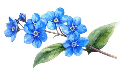 Delicate, vibrant blue forget-me-nots on a stem