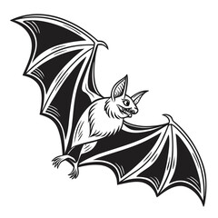 Flying Bat Line Art, Detailed Black and White Bat Illustration, Spooky Animal Drawing