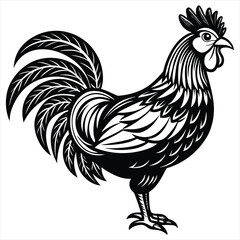 Rooster Vector Illustration. Rooster Line Art. Vintage Rooster Sketch. Traditional Rooster Artwork. Handmade Rooster Drawing. Rooster Clipart Black and White.. Detailed Rooster Illustration. Rooster.