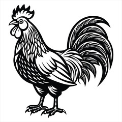 Rooster Vector Illustration. Rooster Line Art. Vintage Rooster Sketch. Traditional Rooster Artwork. Handmade Rooster Drawing. Rooster Clipart Black and White.. Detailed Rooster Illustration. Rooster.