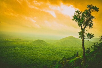 Green landscape on sunrise