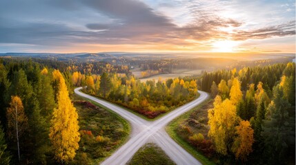 Forked country road through autumn forest during golden hour, symbolizing choices and journeys. 