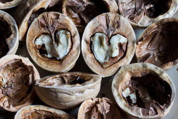 a favorite delicacy. vegetarian food. a source of vitamins and trace elements. walnut.