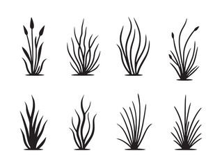 Grass Swaying Gently In Warm Breeze