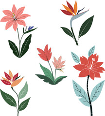 Obraz premium Floral Illustration with Tropical Flowers