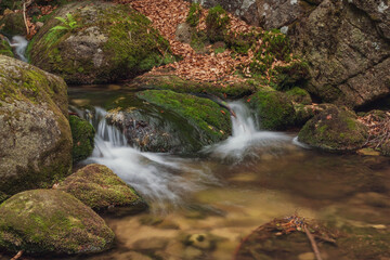 Mountain Stream in Karkonosze Mountains, Lower Silesia, Poland. 