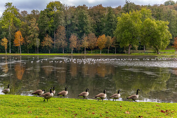 Large lake in the park