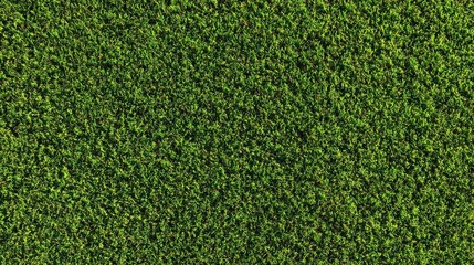 Obraz premium Bright Green Golf Course Grass Texture Background for Sports and Nature Concepts