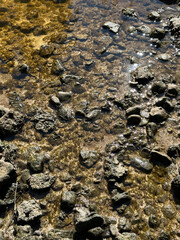 close-up of rocks in a river illuminated by the light of a summer sunset.