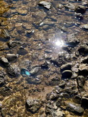 close-up of rocks in a river illuminated by the light of a summer sunset.