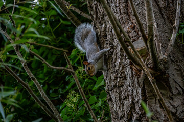 DSC_1394.NEF