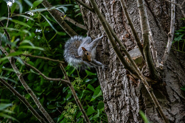 DSC_1389.NEF