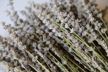 Lavender Bouquet, Beautiful Lavender Photo, Background