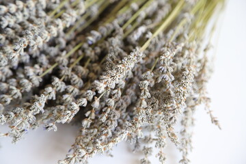 Lavender Bouquet, Beautiful Lavender Photo, Background