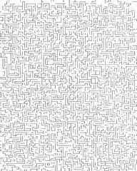 Obraz premium Complex Maze Pattern