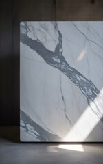 White Marble Slab with Natural Veining and Sunlight Reflection.