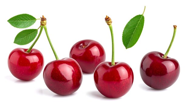 Four glossy red cherries and two leaves on a white background - Powered by Adobe
